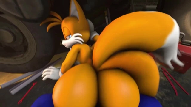 miles prower,sonic the hedgehog,tails