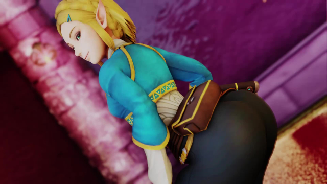 princess zelda,zelda (breath of the wild)