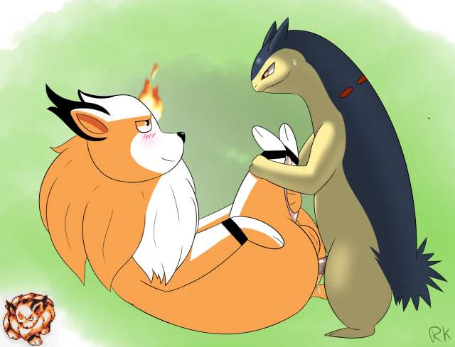 typhlosion