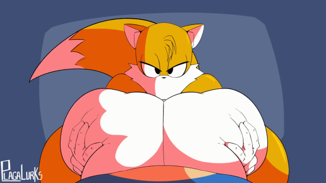 miles prower,sonic the hedgehog,tails,tailsko