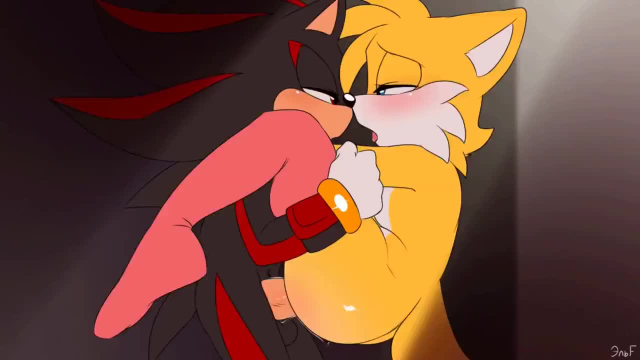 feminine tails,miles prower,shadow the hedgehog,tails,tails the fox