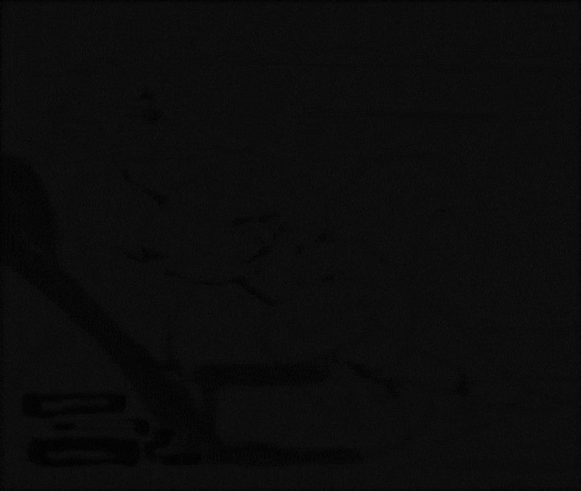 jimnsei (character)