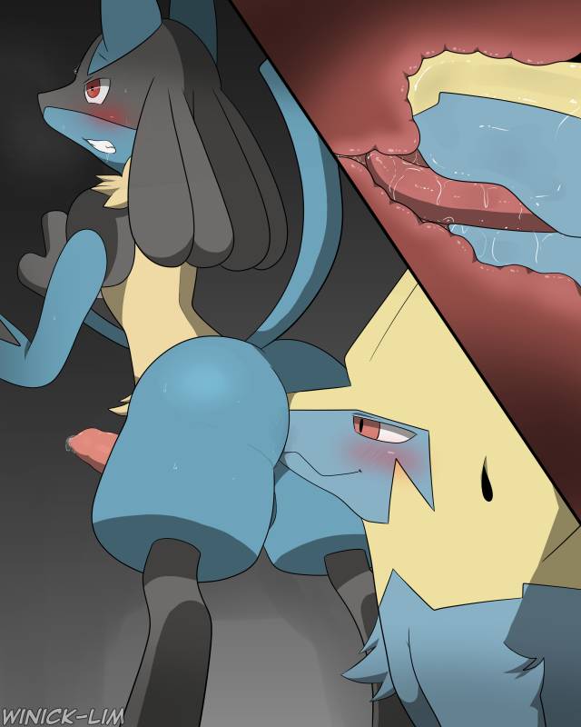 lucario+manectric