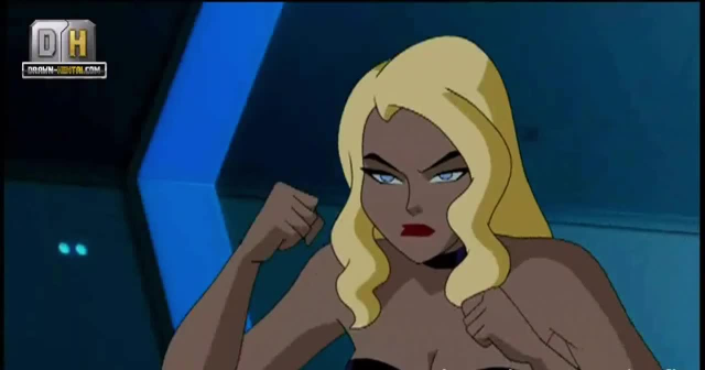 black canary,dinah lance,wally west
