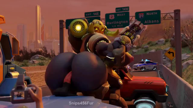 omnic,orisa