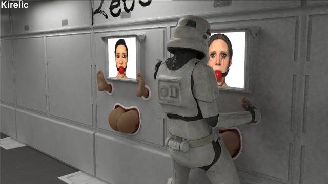 iden versio+princess leia organa