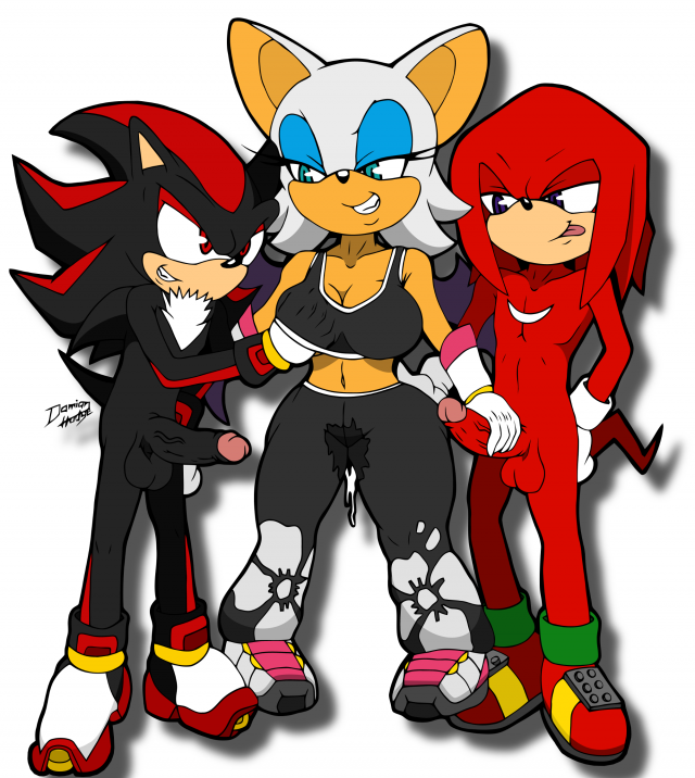 knuckles the echidna+rouge the bat+shadow the hedgehog