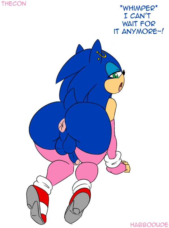 sonic the hedgehog