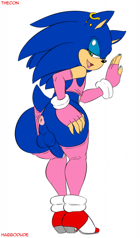 sonic the hedgehog