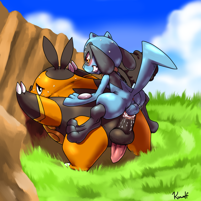 pignite+riolu