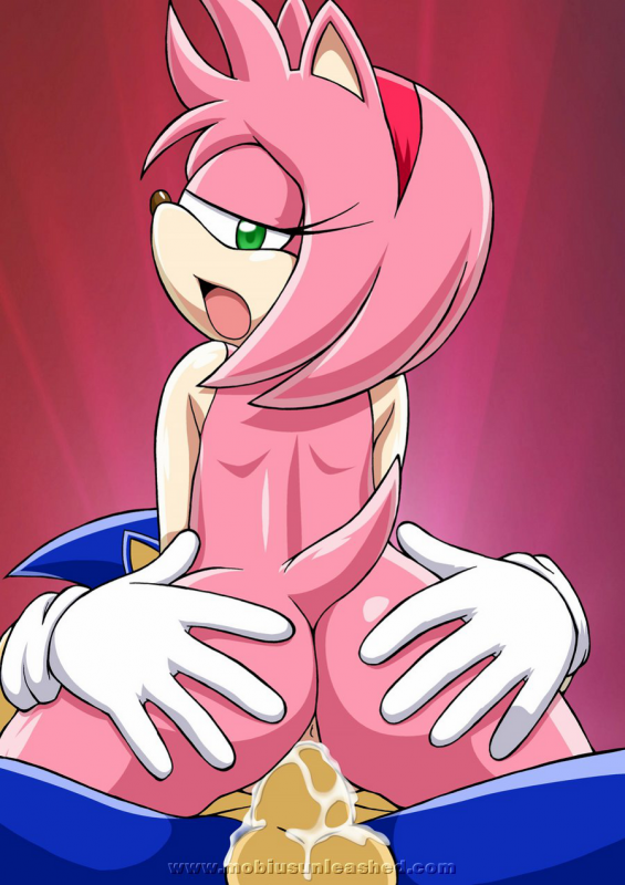 amy rose+sonic the hedgehog