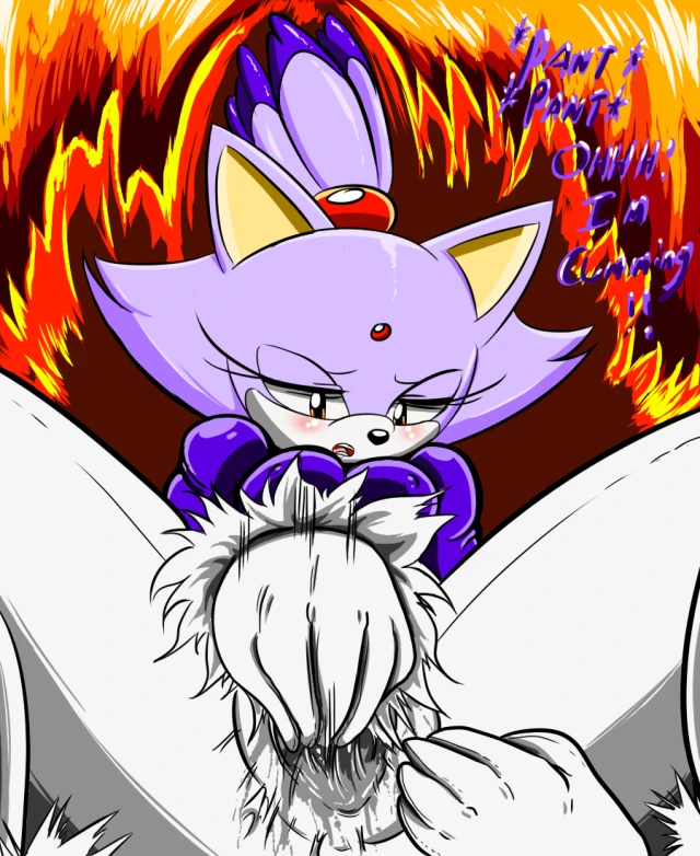 blaze the cat