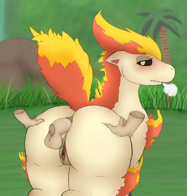 ponyta