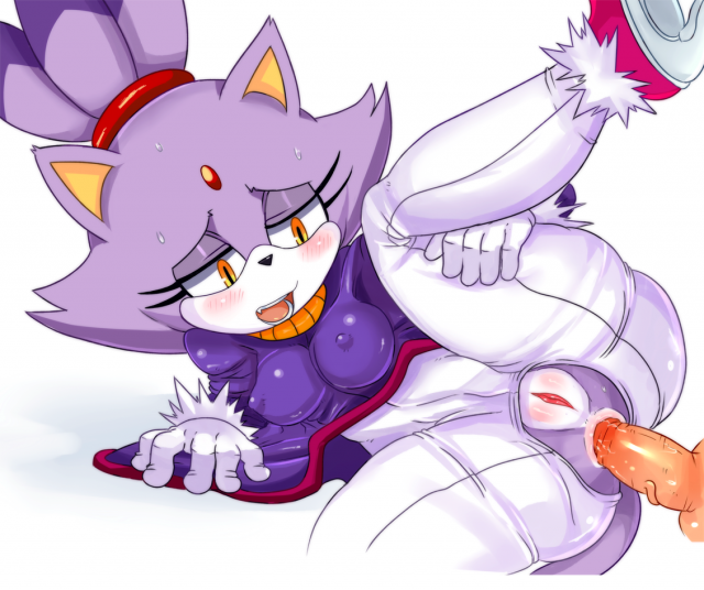 blaze the cat