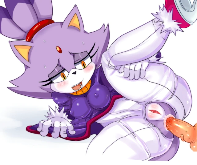 blaze the cat