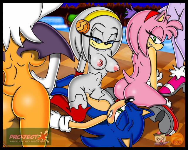 amy rose+blaze the cat+rouge the bat+sonic the hedgehog+zeta the echidna