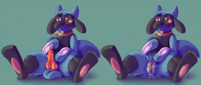 riolu