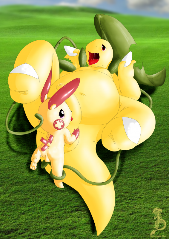 bayleef+plusle