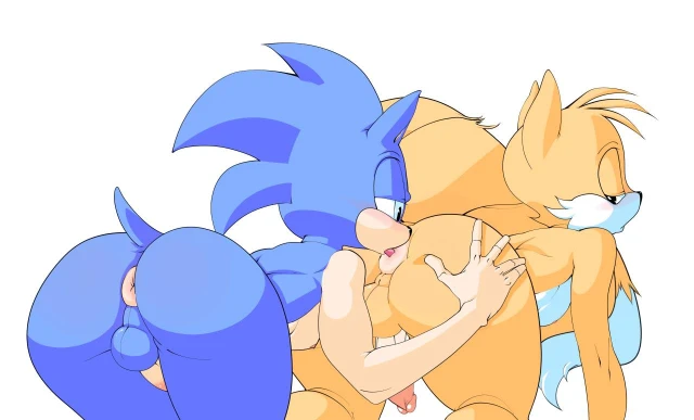sonic the hedgehog+tails