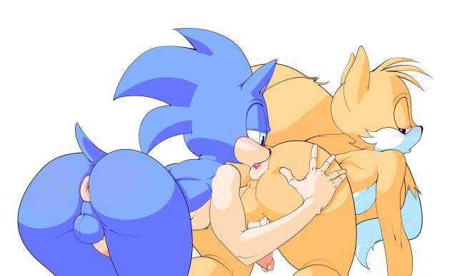 sonic the hedgehog+tails