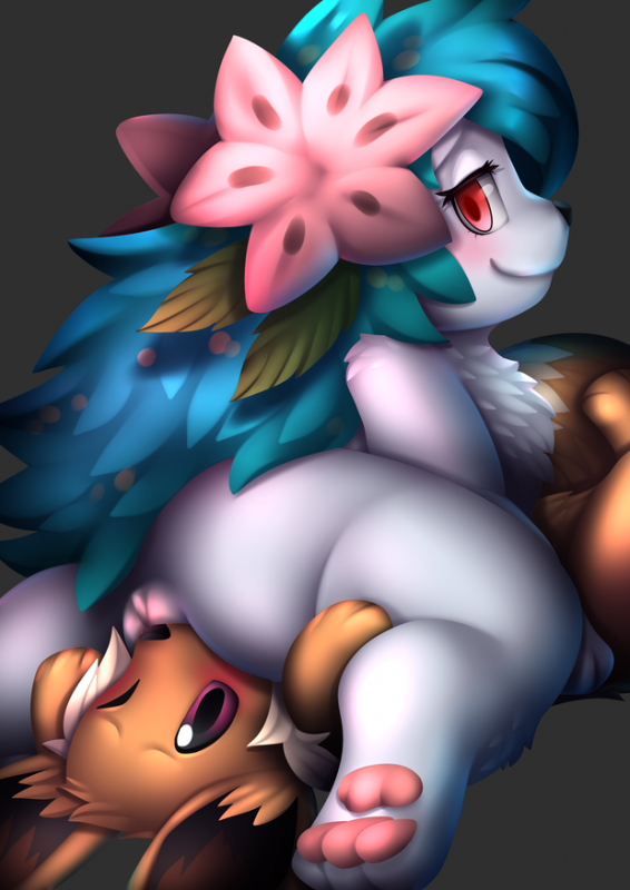 eevee+shaymin