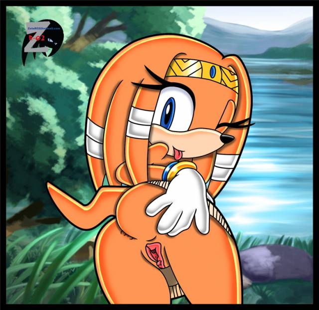 tikal the echidna