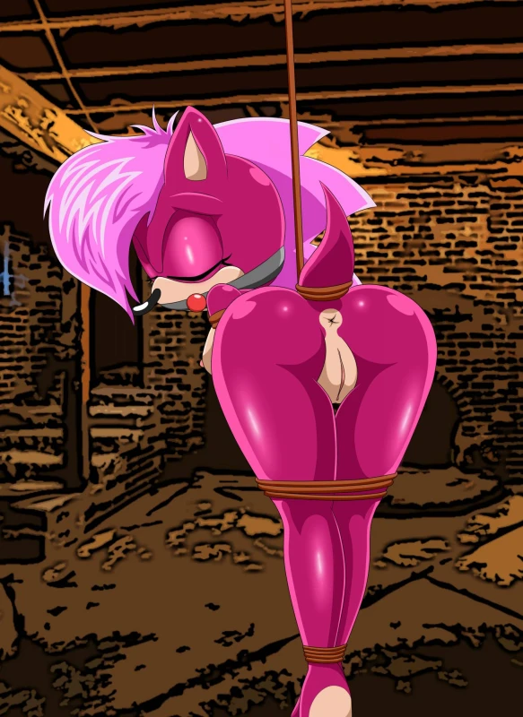 sonia the hedgehog