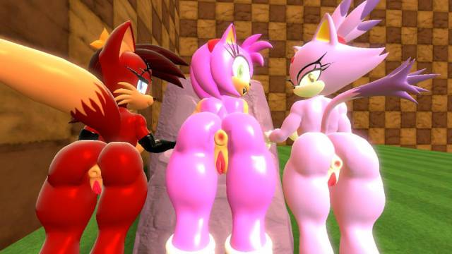 amy rose+blaze the cat+fiona fox