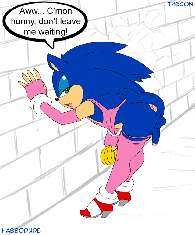 sonic the hedgehog