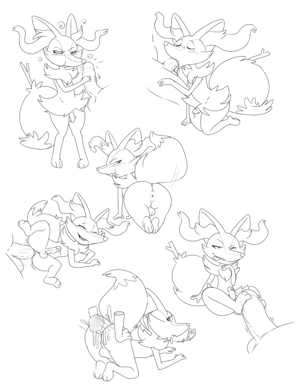 braixen