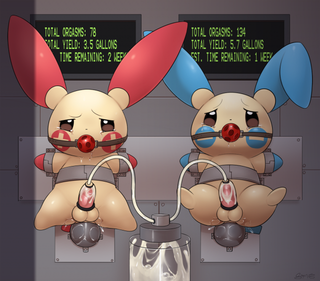 minun+plusle